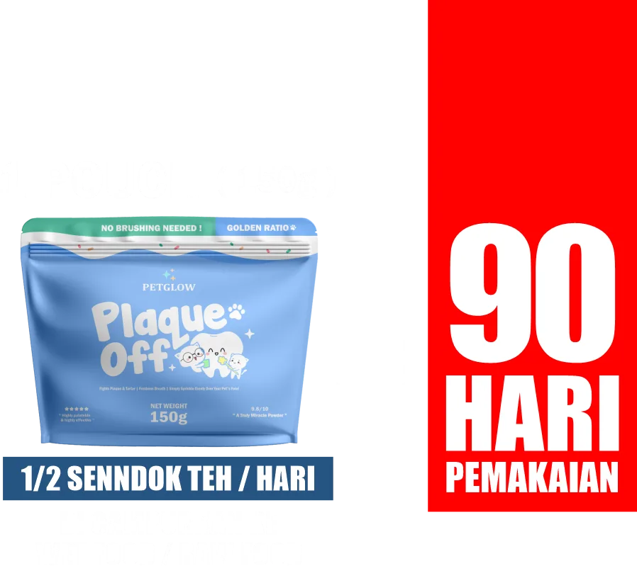 Brand Collab GH Vitamin